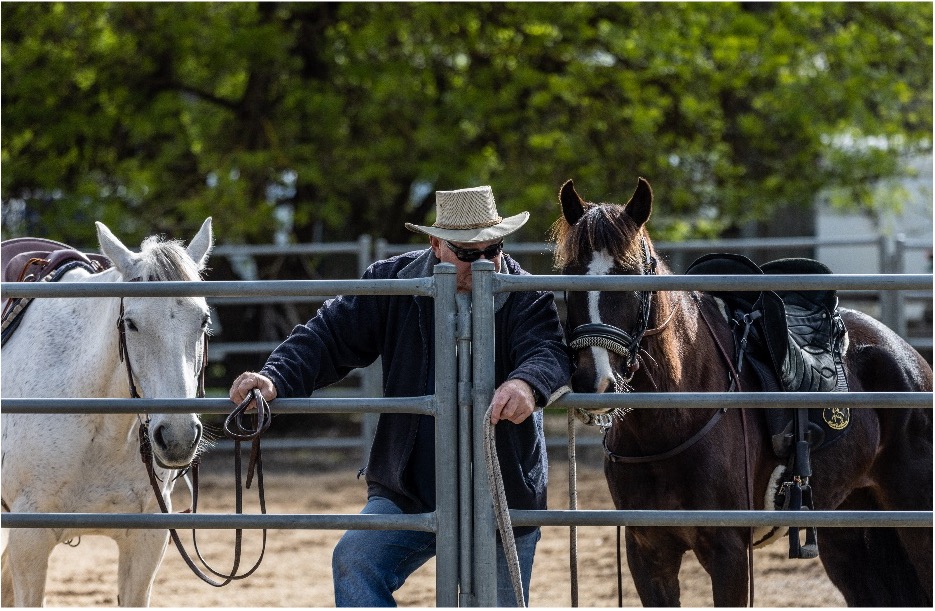 Working Equitation in Australia